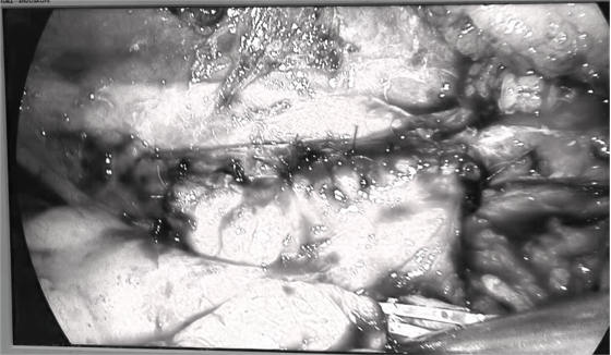 1783395380746428.png 微信图片_2026-07-07_113141_754.png