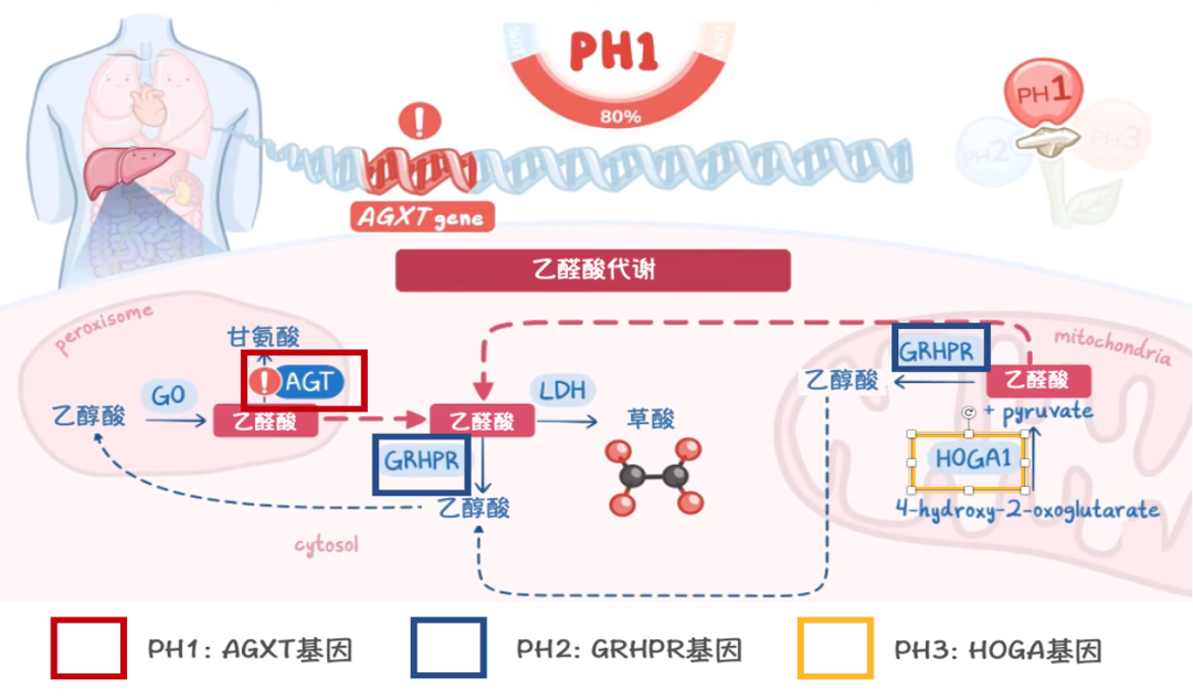 微信图片_2026-07-07_151537_729.png