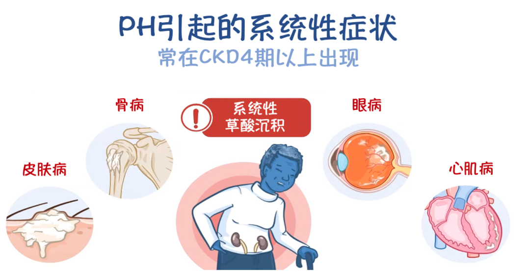微信图片_2026-07-07_151540_681.png