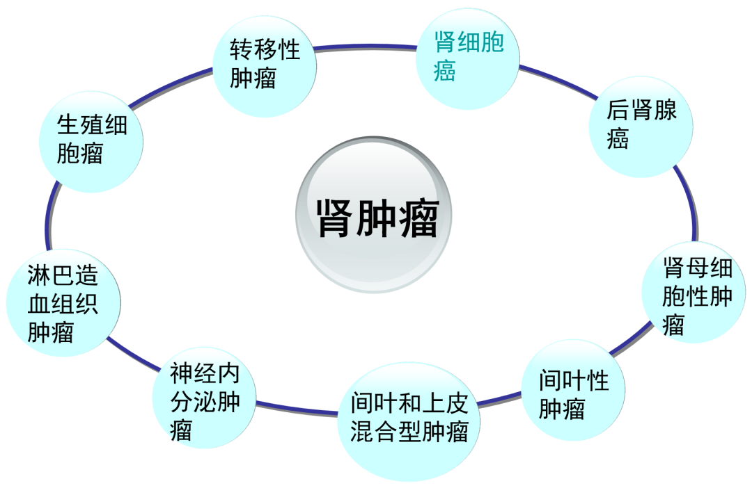 1783410528872835.png 微信图片_2026-07-07_154634_302.png