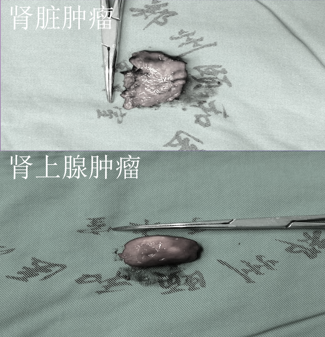 1783411627542083.png 微信图片_2026-07-07_154712_152.png