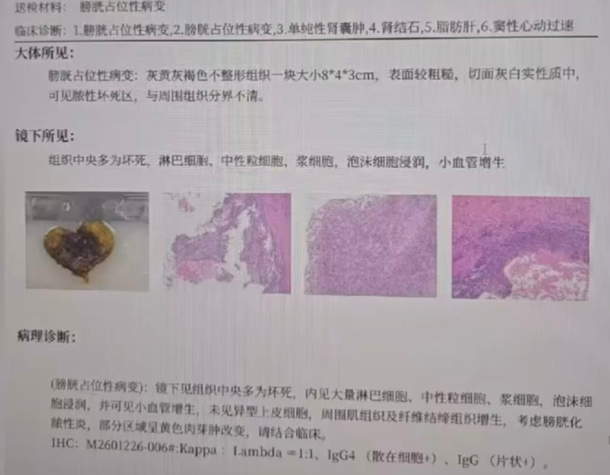 微信图片_2026-07-09_104243_462.png