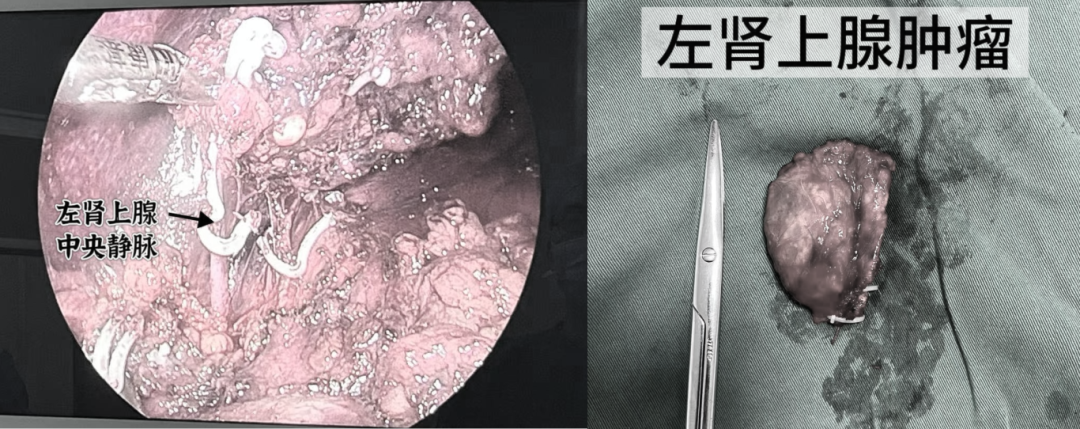 微信图片_2026-07-17_110801_015.png