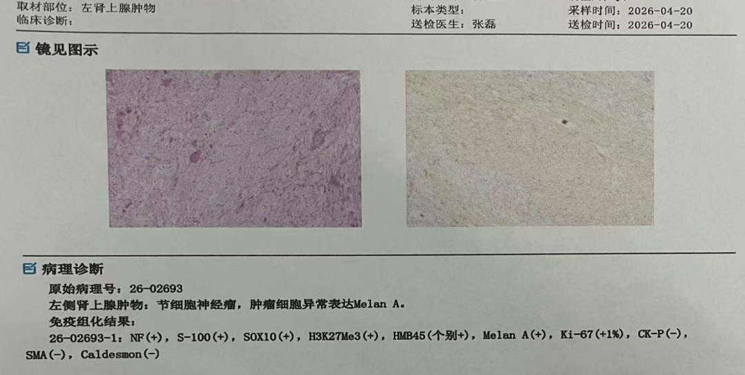 微信图片_2026-07-17_110812_326.png