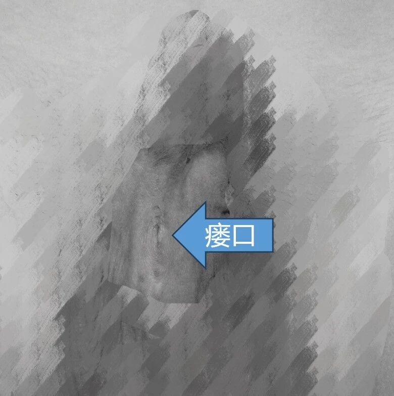 1784274990381150.jpg 微信图片_2026-07-17_155548_943.jpg