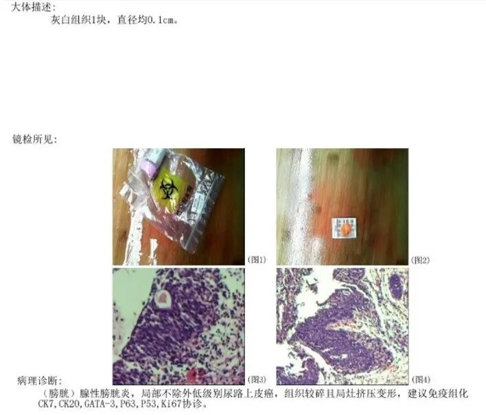 微信图片_2026-07-21_142100_478.jpg