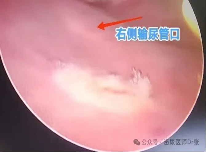 微信图片_2026-07-21_142104_087.png