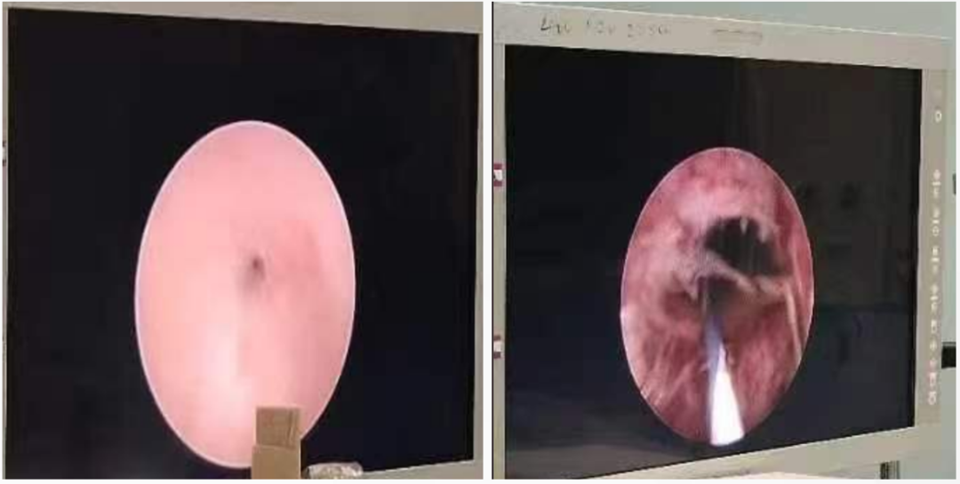 微信图片_2026-07-21_150428_750.png