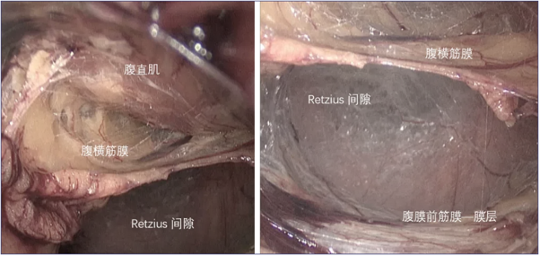 微信图片_2026-09-29_141235_249.png