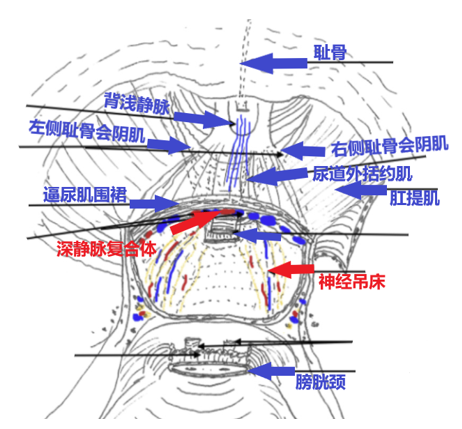 微信图片_2026-09-29_142156_320.png