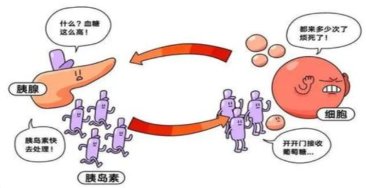 1791785982611253.png 微信图片_2026-10-12_141925_635.png
