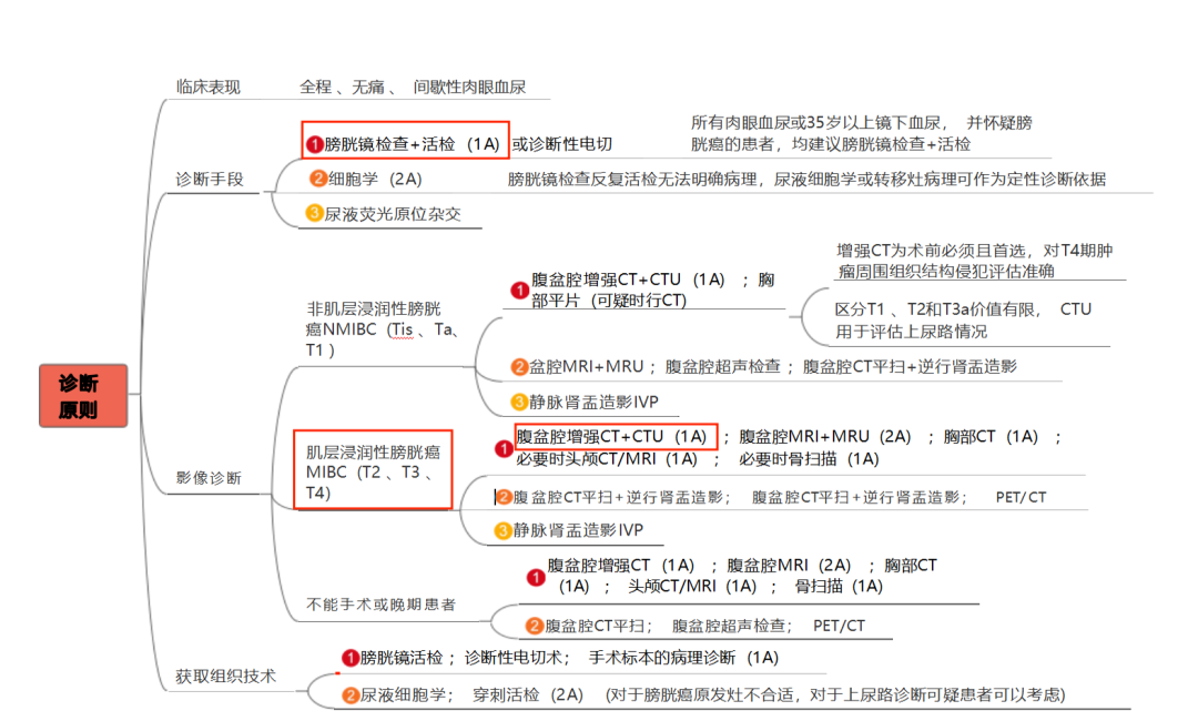 微信图片_2026-10-13_105727_539.png