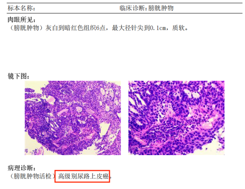 微信图片_2026-10-13_110430_890.png