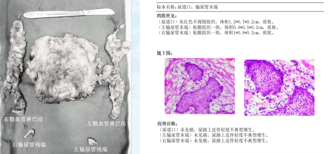 微信图片_2026-10-13_111817_027.png