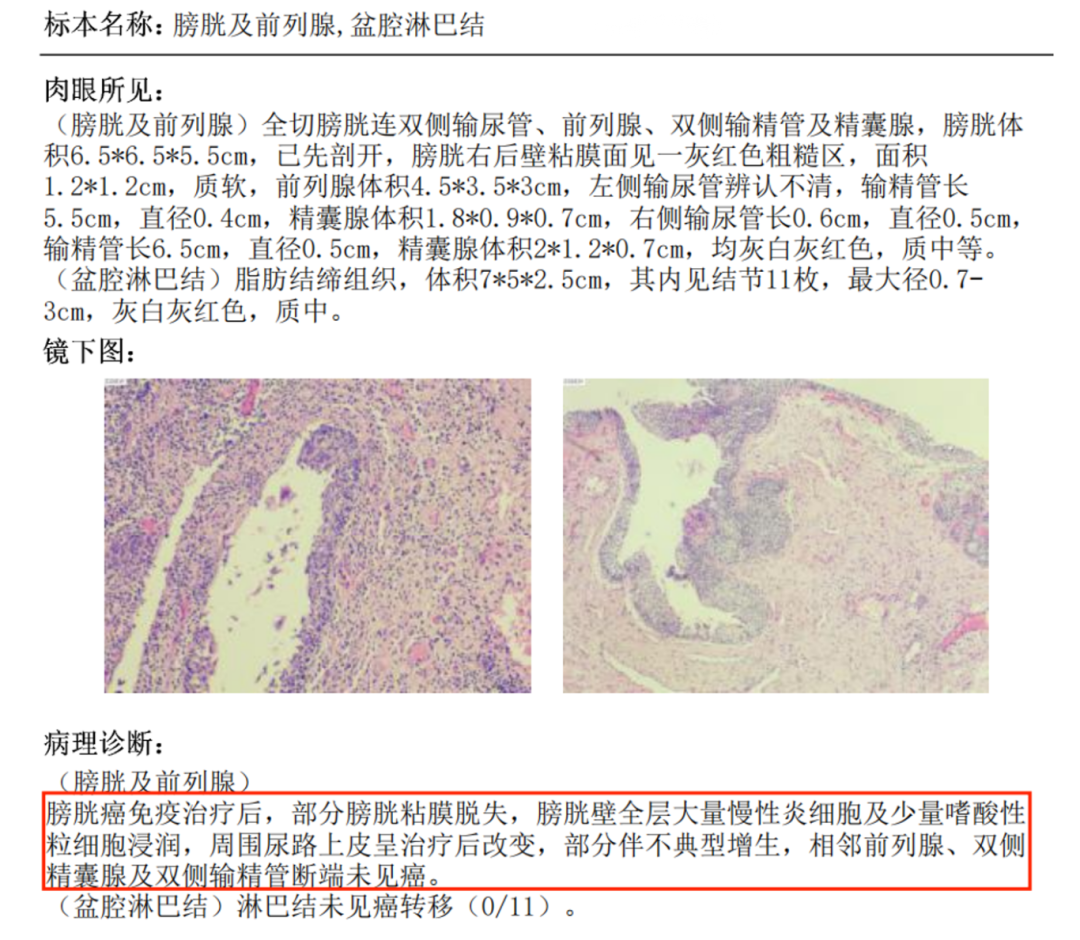 微信图片_2026-10-13_111821_968.png