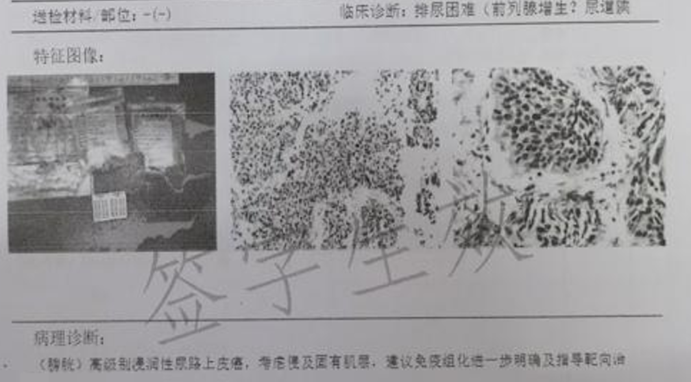 1791862600640049.png 微信图片_2026-10-13_113611_540.png