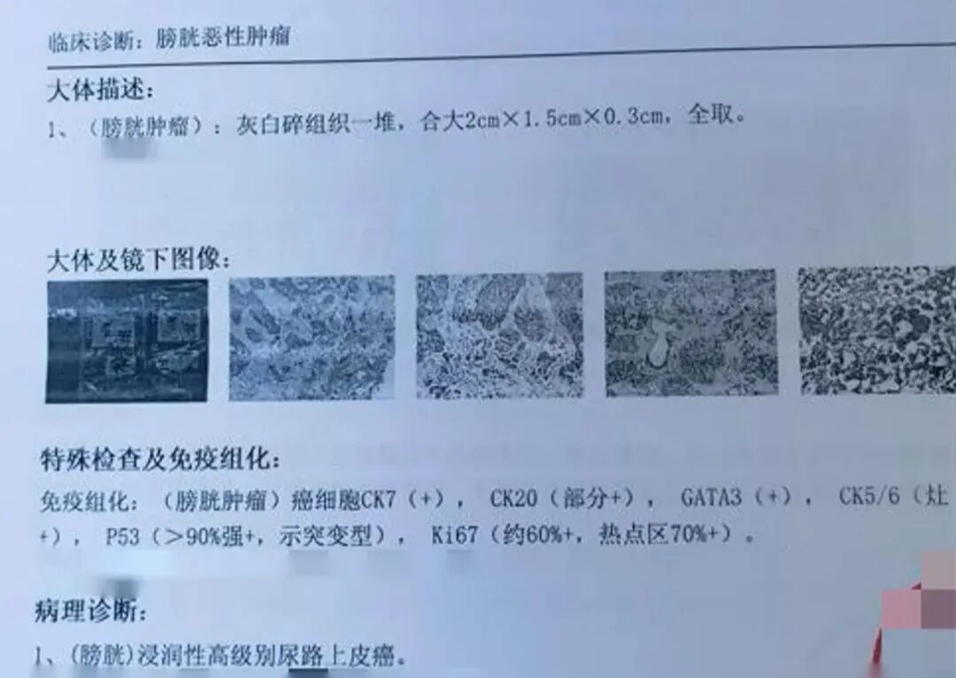 1791862615602908.jpg 微信图片_2026-10-13_113614_257.jpg