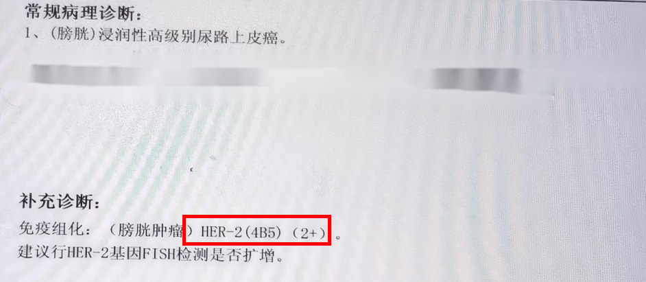 1791862629622267.png 微信图片_2026-10-13_113619_485.png