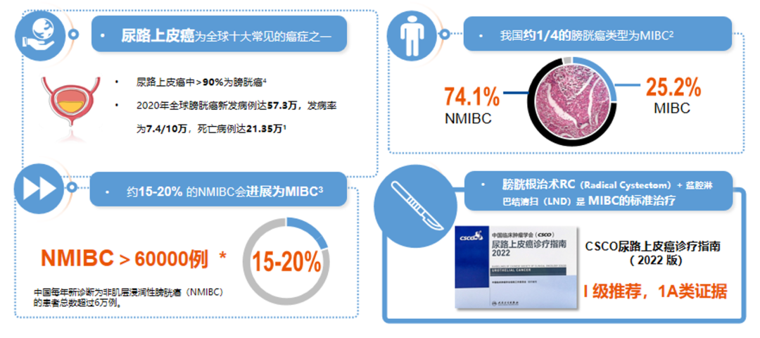 1791862671555629.png 微信图片_2026-10-13_113729_743.png