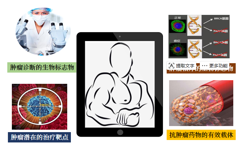 1793175074434286.png 微信图片_2026-10-28_161042_305.png