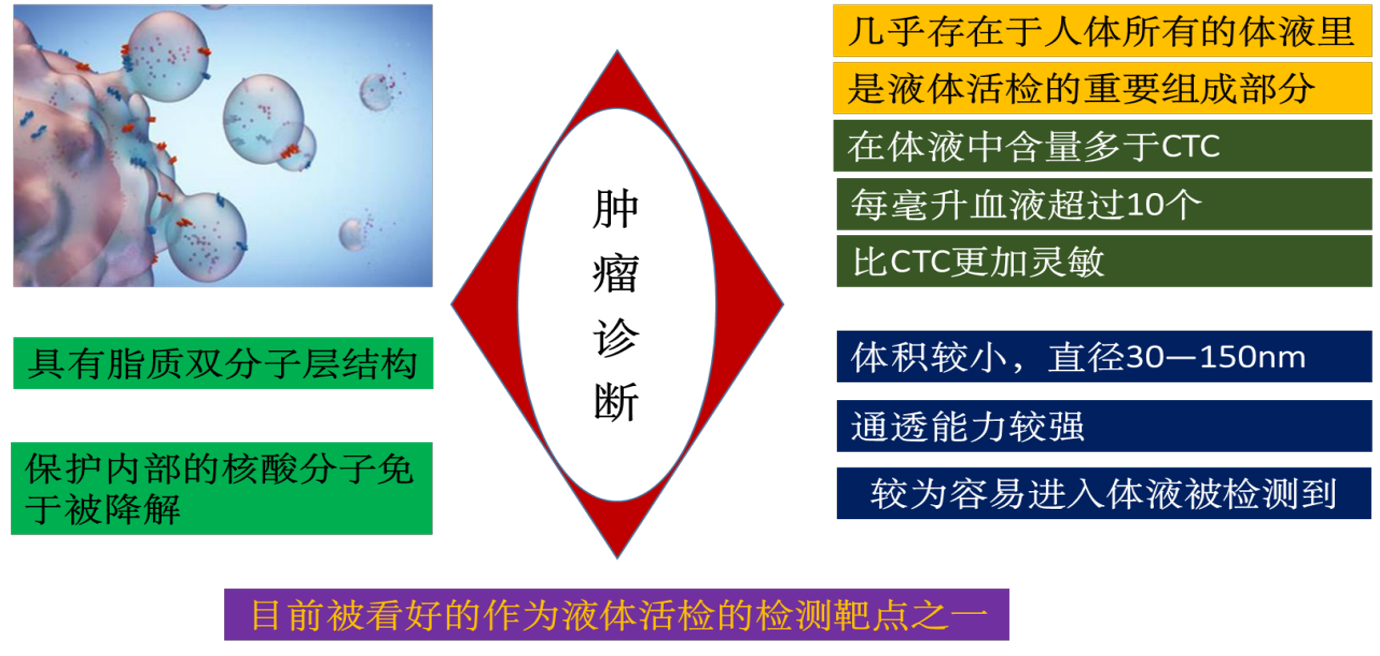 1793175094299437.png 微信图片_2026-10-28_161050_063.png