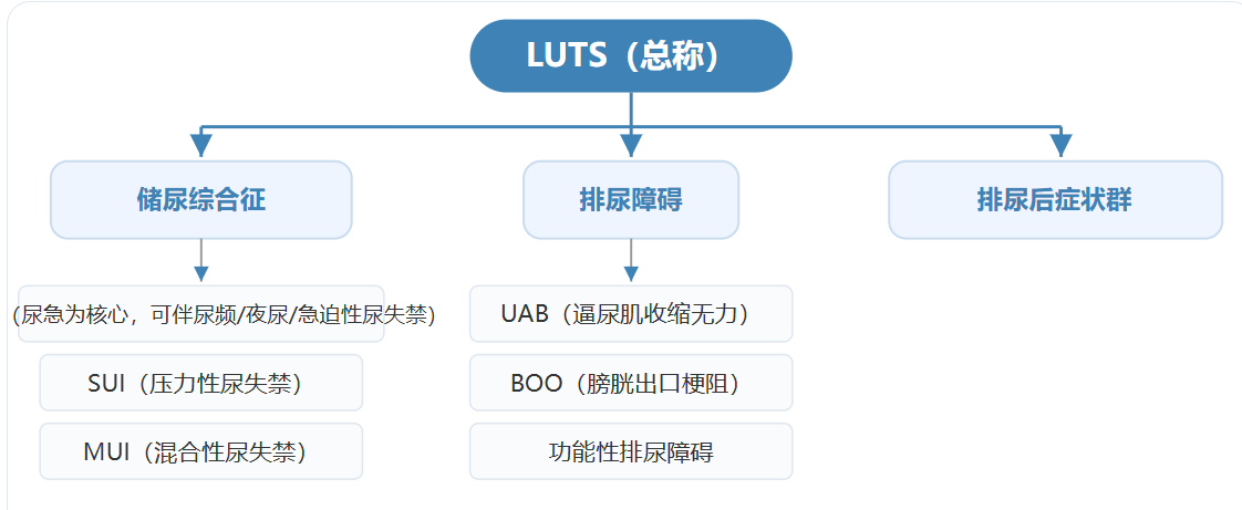 1793175698150418.png 微信图片_2026-10-28_162111_167.png