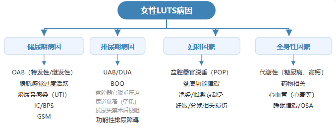 1793175729884125.png 微信图片_2026-10-28_162148_760.png