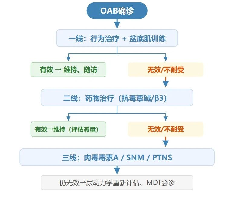 1793175758496209.jpg 微信图片_2026-10-28_162217_215.jpg