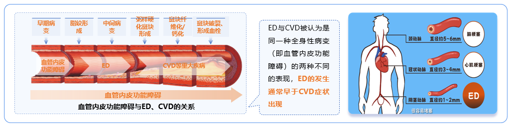 1793176444457582.png 微信图片_2026-10-28_163352_028.png