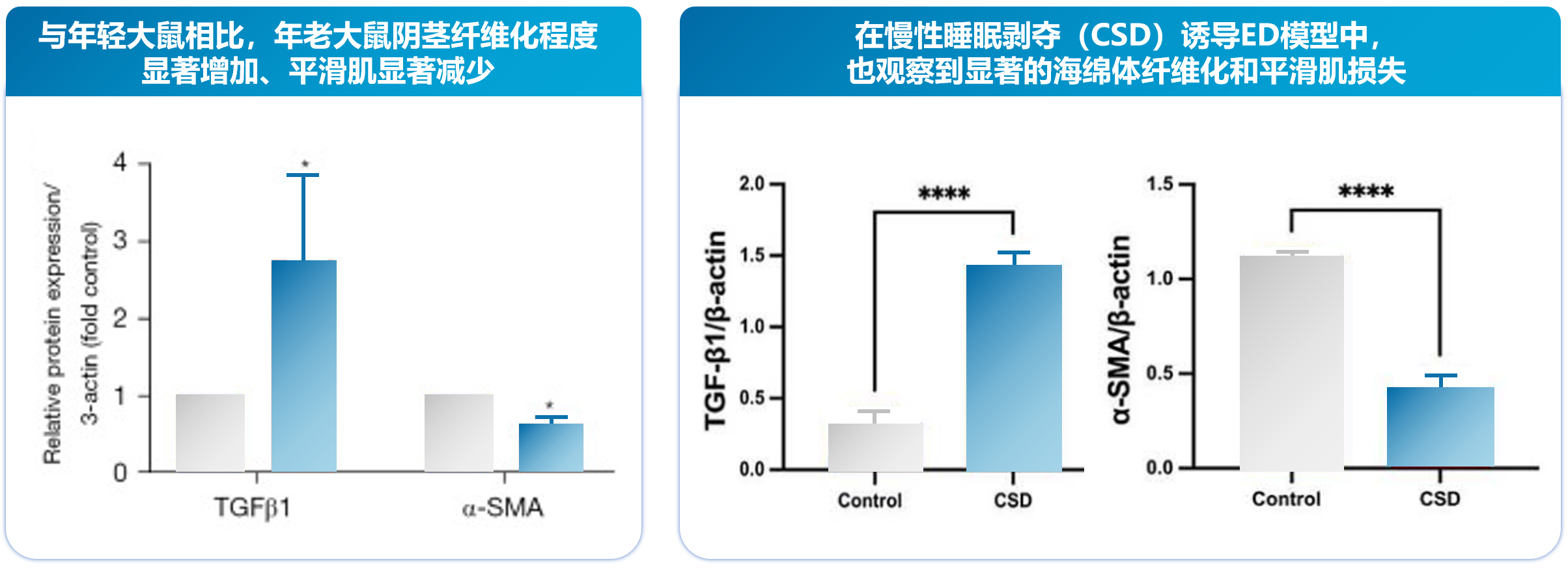 1793176528607634.png 微信图片_2026-10-28_163514_670.png