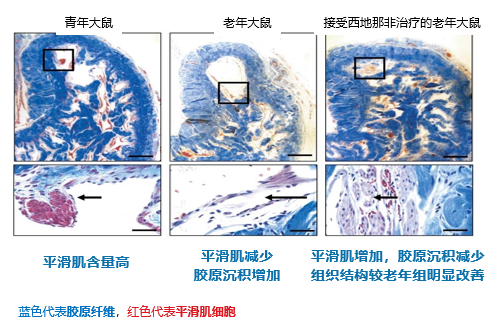 1793176625234290.png 微信图片_2026-10-28_163648_807.png