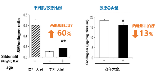 1793176637875220.png 微信图片_2026-10-28_163651_326.png