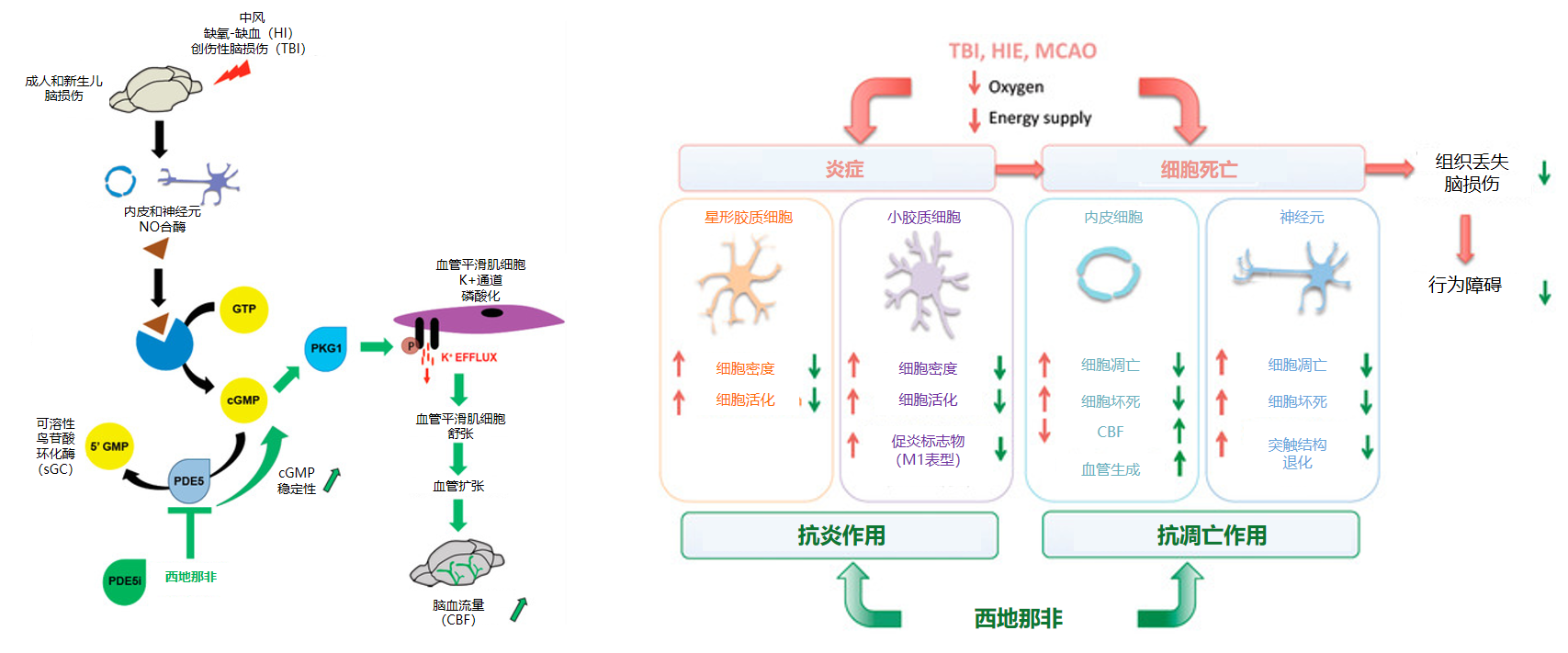 1793176717981517.png 微信图片_2026-10-28_163824_516.png