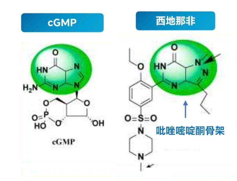 1793176737458319.jpg 微信图片_2026-10-28_163844_838.jpg