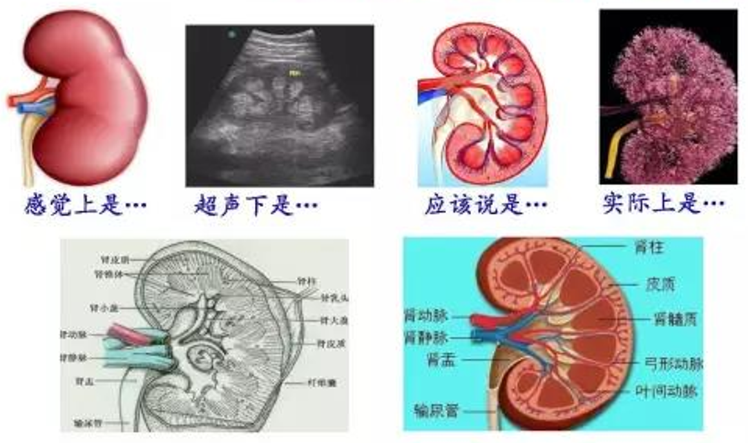 1793343220617514.png 微信图片_2026-10-30_145253_730.png