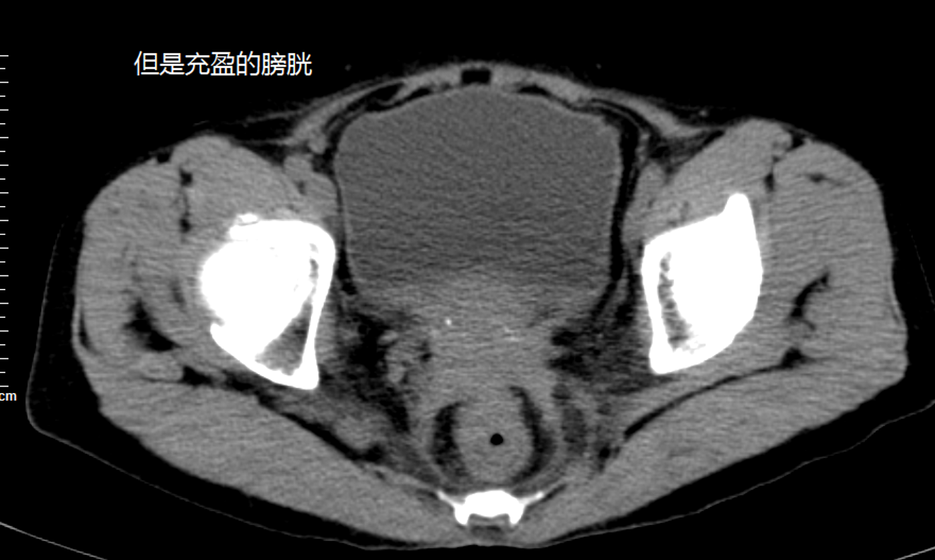微信图片_2026-10-30_150137_818.png