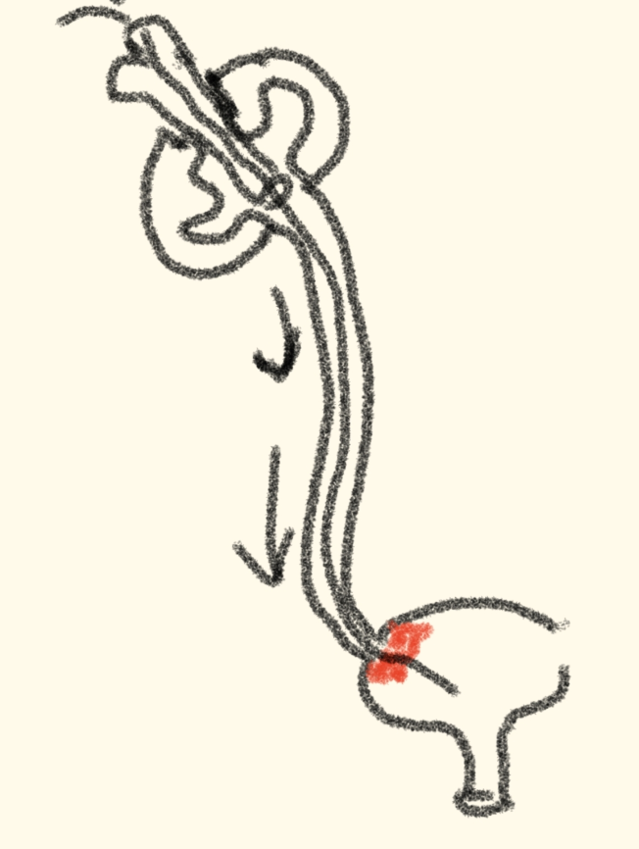微信图片_2026-10-30_150231_883.png