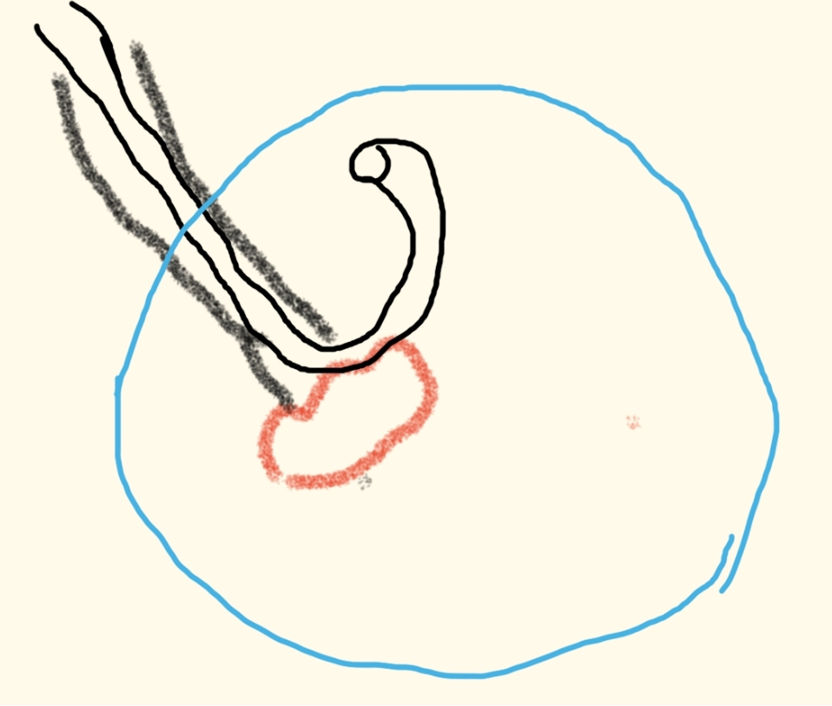 微信图片_2026-10-30_150259_612.png