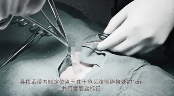 1793350194993783.png 微信图片_2026-10-30_164723_582.png