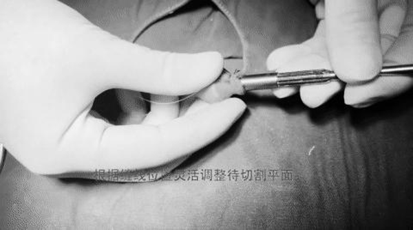 1793350215608997.png 微信图片_2026-10-30_164957_998.png