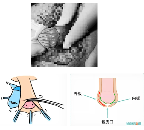 1793350628527839.png 微信图片_2026-10-30_165650_789.png
