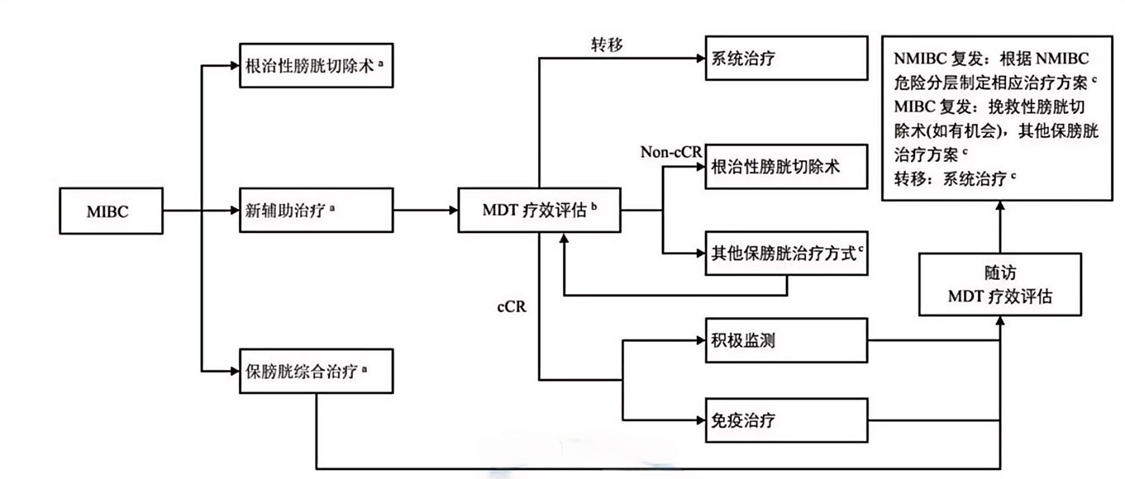 微信图片_2026-10-30_170155_006.png