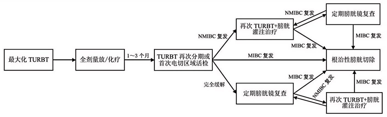 微信图片_2026-10-30_170248_950.png