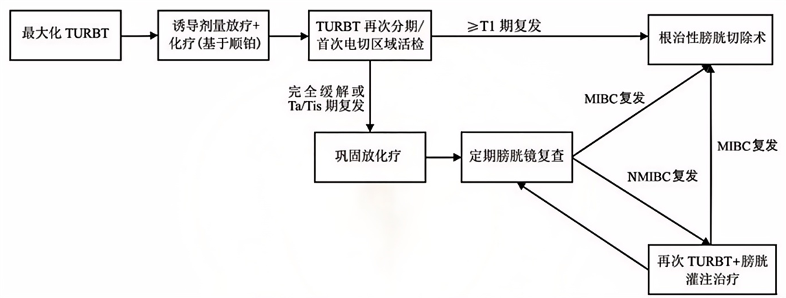 微信图片_2026-10-30_170313_583.png