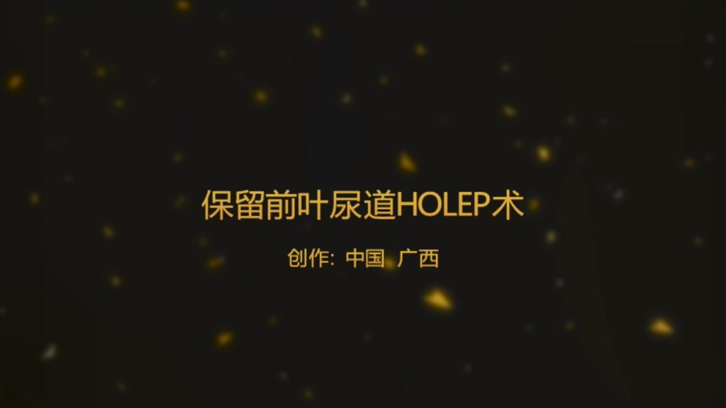 保留前叶尿道的前列腺钬激光剜除术（HOLEP）