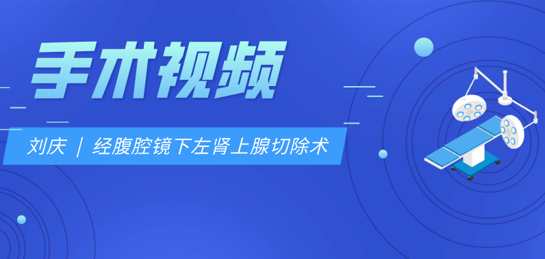 经腹腔镜下左肾上腺切除术（肾上腺与肾周脂肪囊层面）