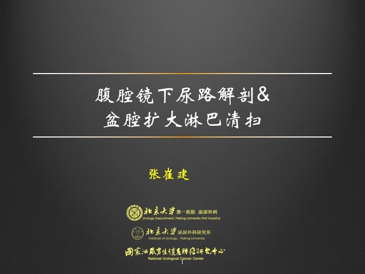第76期 张崔建教授腹腔镜下尿路解剖&盆腔扩大淋巴清扫