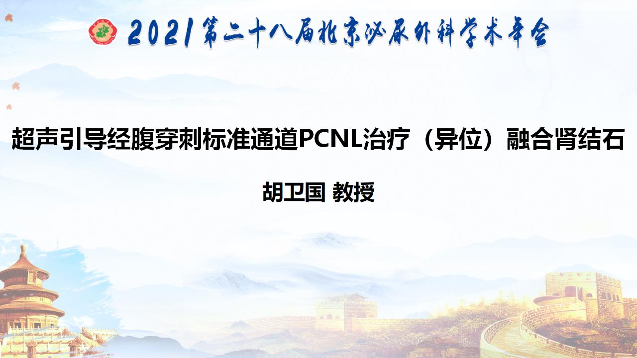 超声引导经腹穿刺标准通道PCNL治疗（异位）融合肾结石