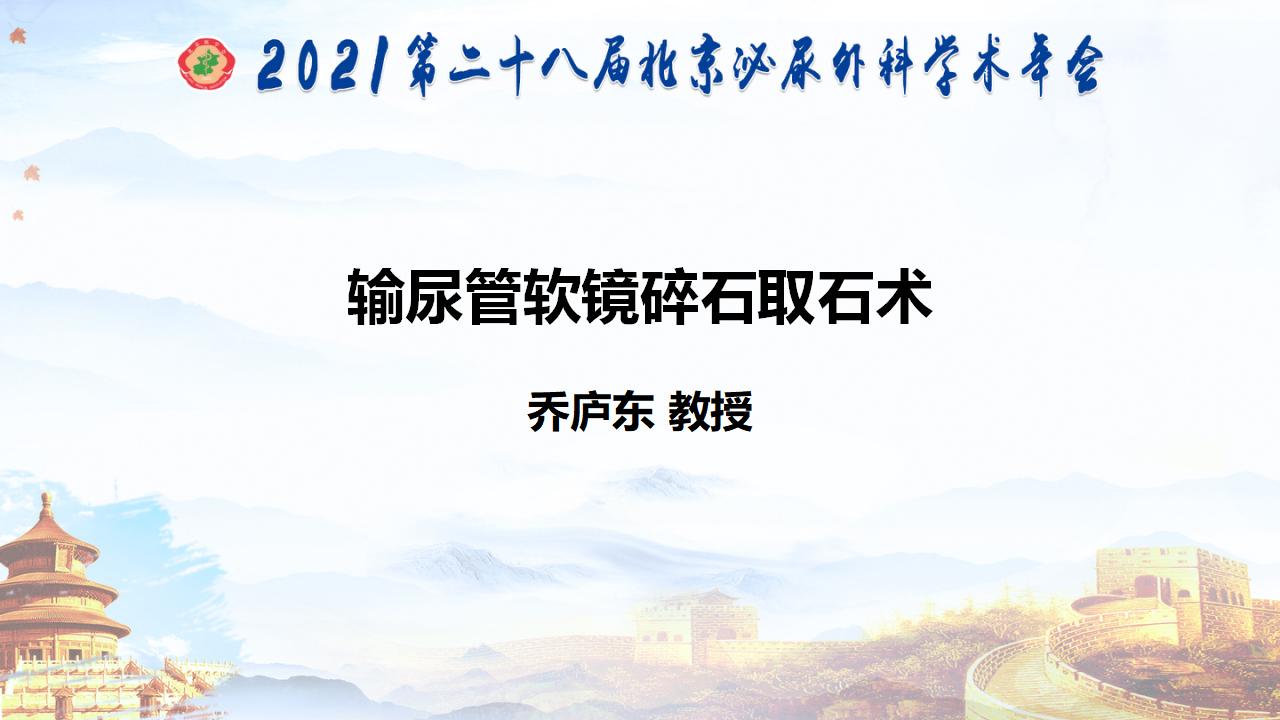 输尿管软镜碎石取石术