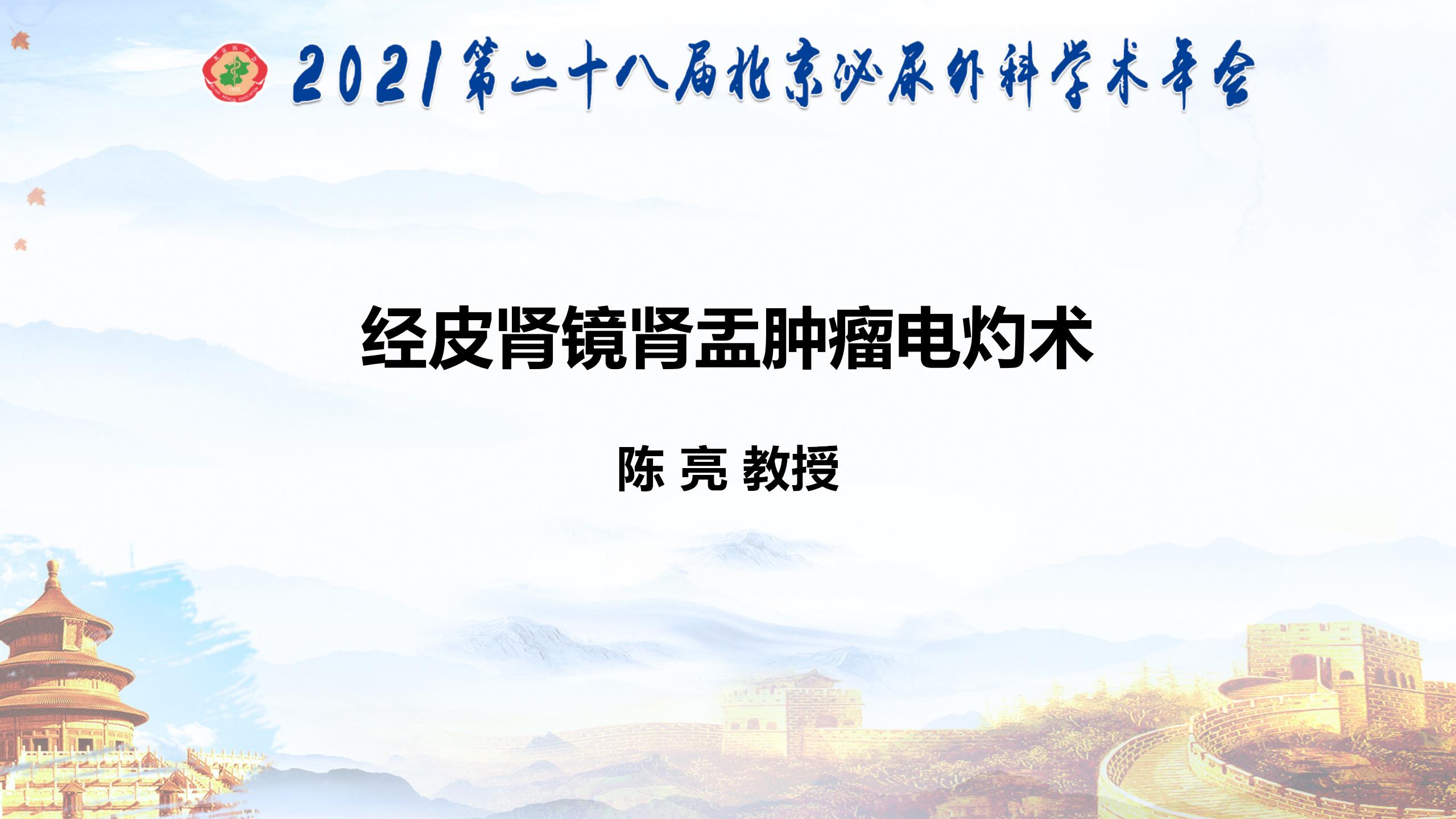经皮肾镜肾盂肿瘤电灼术